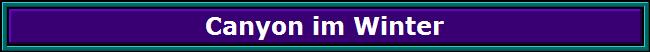 Canyon im Winter